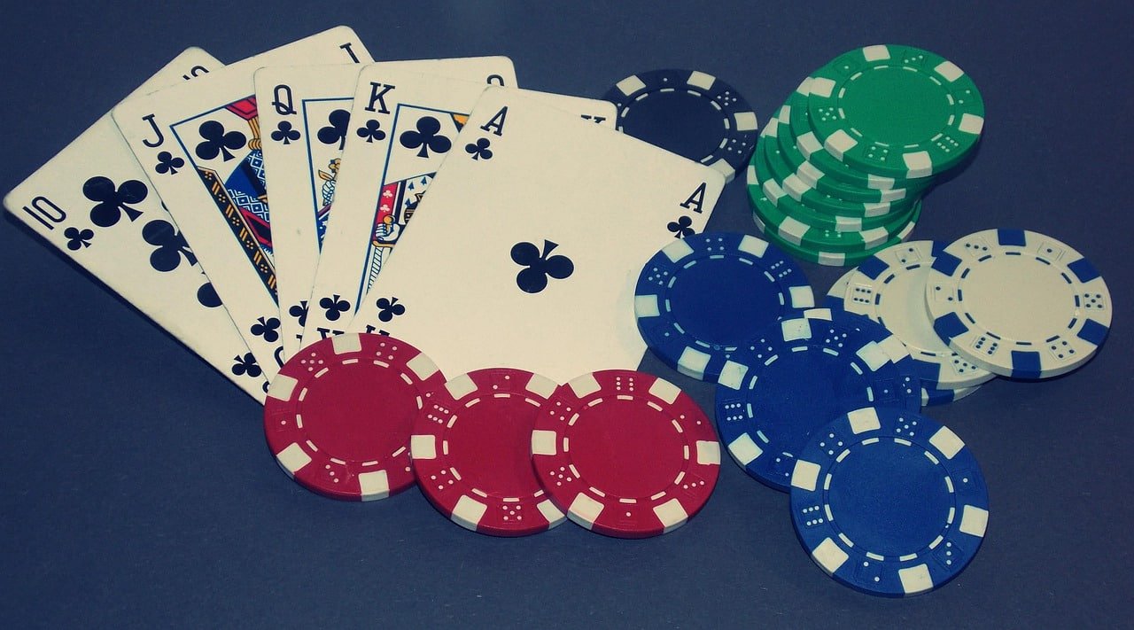 plataforma 5p